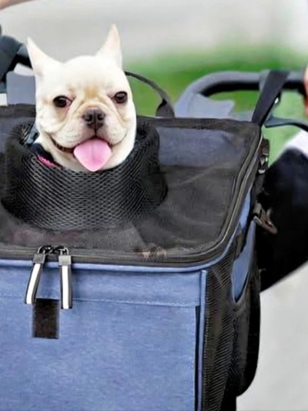 BARKBAY Pet Carrier Bicycle Basket Bag in Blue & Black